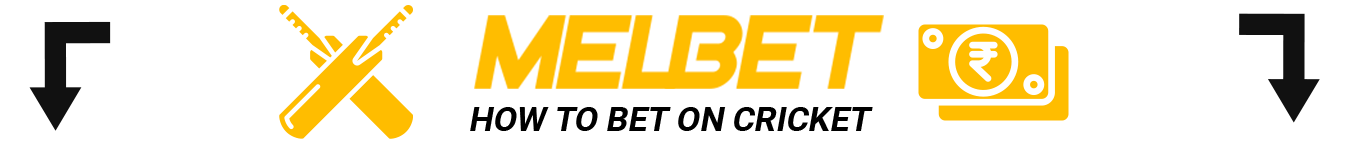 Step-bt-step instruction how to make bets on Cricket at Melbet