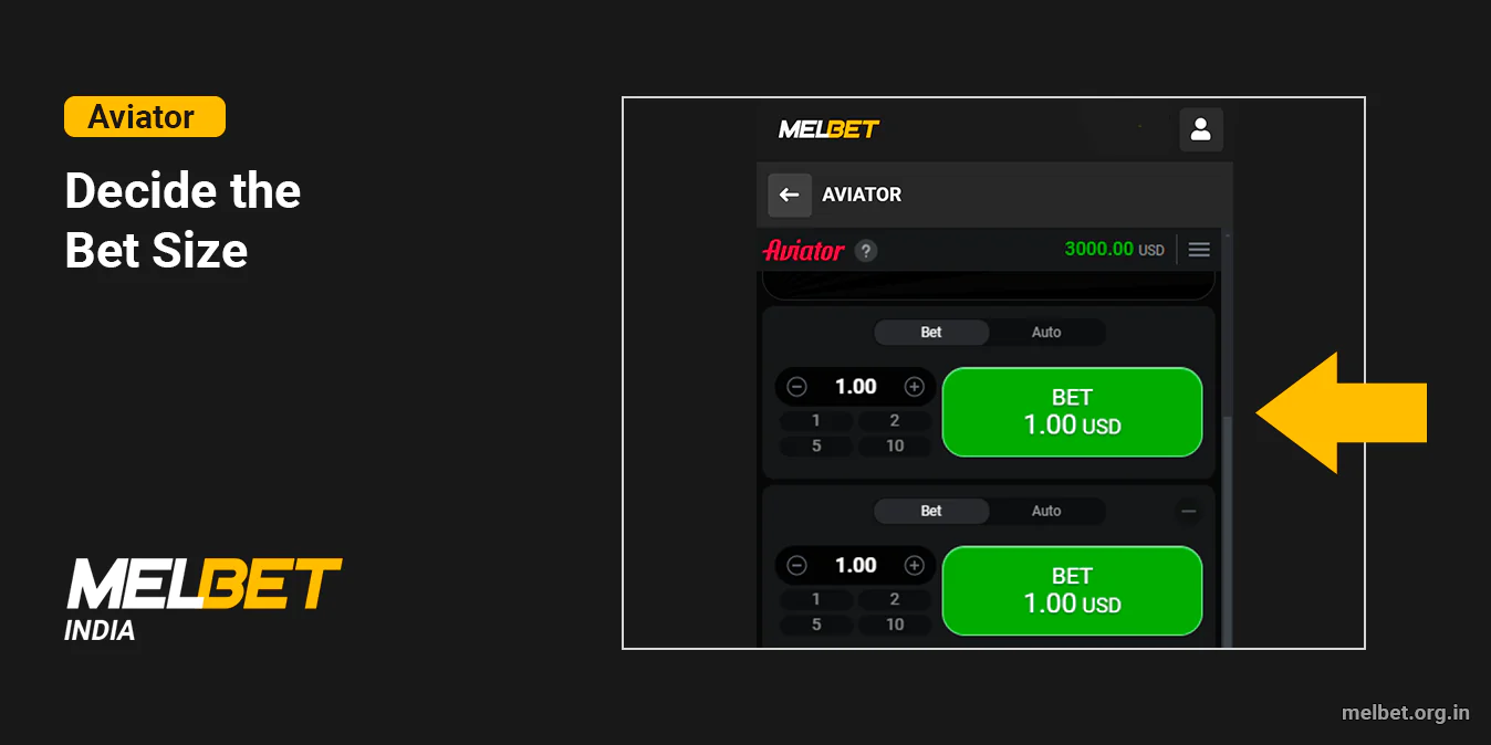Decide the Aviator Bet size - Melbet