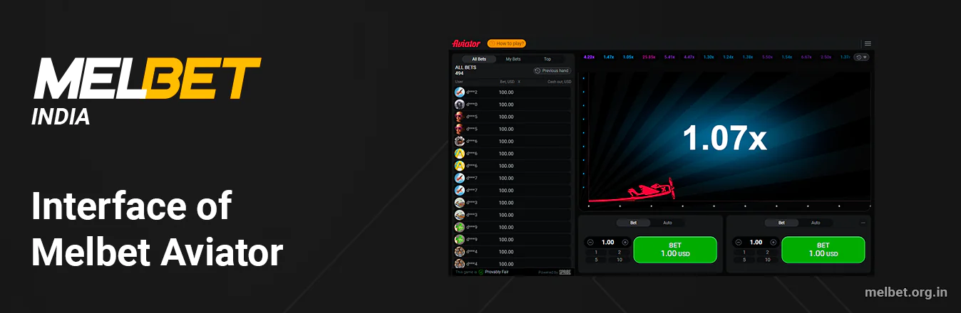 Melbet Aviator Interface