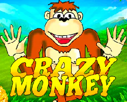 Crazy Monkey Slot - Melbet